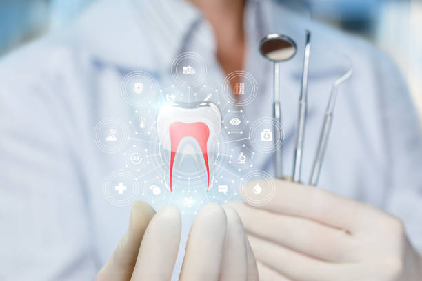 Best General Dentistry  in South Elgin, IL