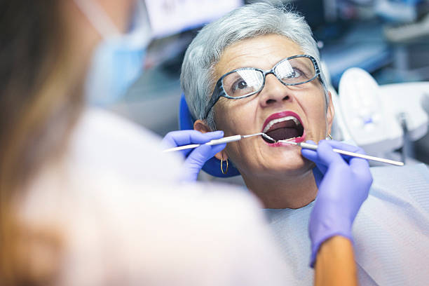 Best Dental Exams and Cleanings  in South Elgin, IL